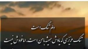 دلتنگتم ...عزیز رفته...😔