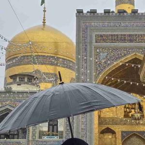 سلام علیکم.صبح زیبای شما بخیر ونیک... انشاالله تعالی به آرزوهای بزرگ وخوبتان برسید آمین یا رب العالمین 