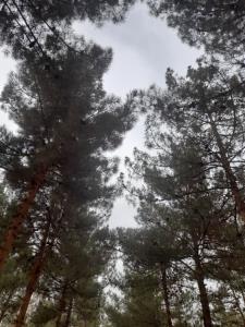 حـ‌ــ‌ـ‌ـ‌ـرفا نقابن ، رفتارا حقیقتـ‌ــ‌ـ‌ـ‌ـ....