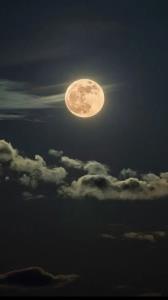 عمرم گهی به درد و گهی به غم گذشت...