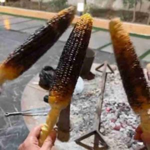 🌹🌹🌹🌹🌹🌹🌹