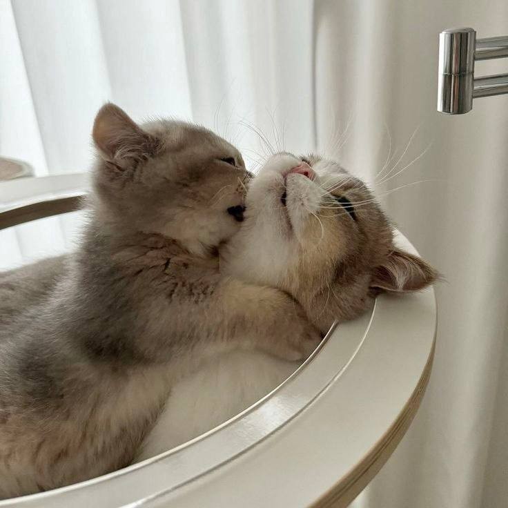 😂🥰😂🥰😂😂