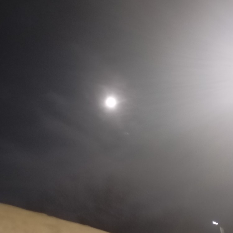 ماه دیگه از زیر دود معلوم نیست 