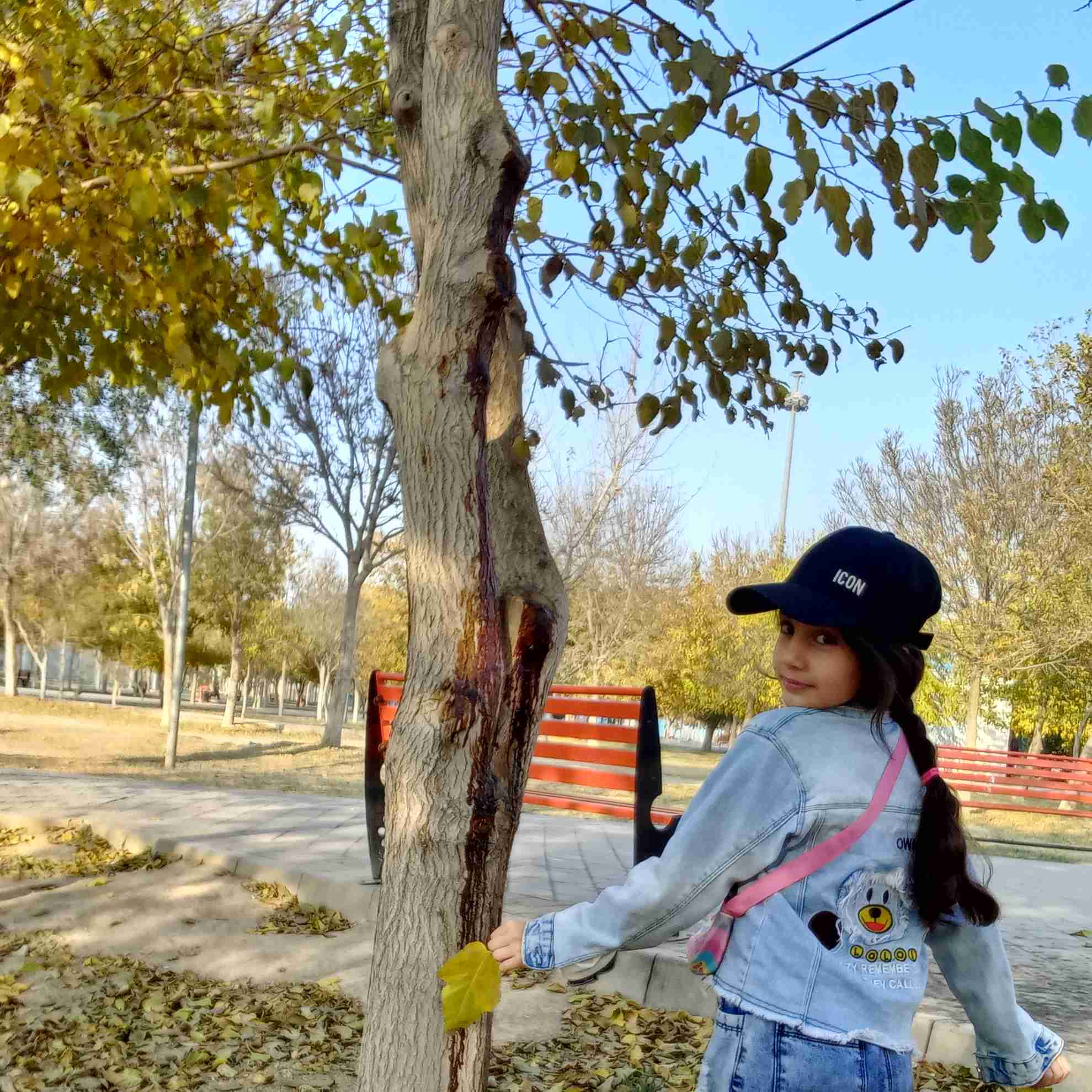 دختر پاییزی ام آریناخانم🍁🍂🍁