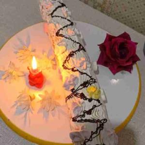 وقتی تولد خودت،دستت هم تو کیک،اما رولت ترجیح می دی بجای کیک،،،،