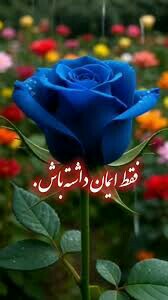 ان شاءالله برکت و سلامتی از خداوند سبحان 