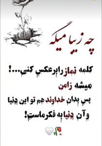 شرح در تصویر 🌼🍁🍁