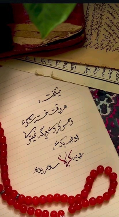 روبه کربلا سلام بده