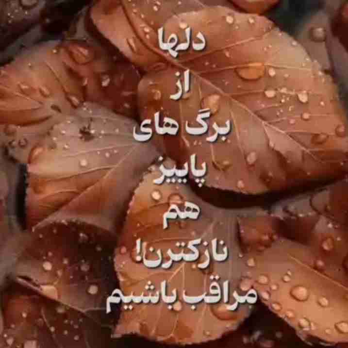 مراقب باشیم 