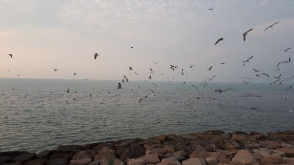 سلام دوستان خبری گلم،عصرتون به زیبایی این دریای بزرگ