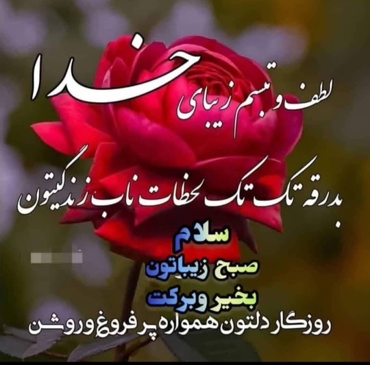 صبحتون بخیر دوستان 🌹🌹🙏🙏