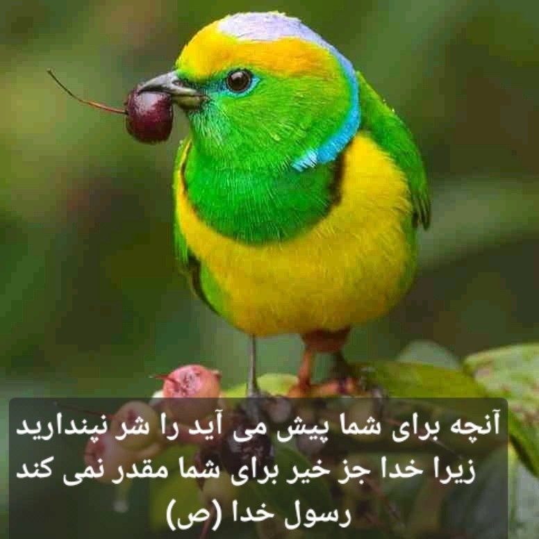 👆👆👆👆👆👆