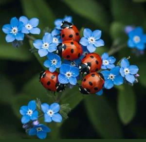 یقین داشته باش