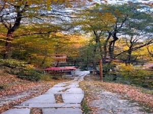 پارک جنگلی نسوم