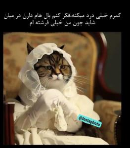 شاید چون من خیلی فرشته ام😔😂