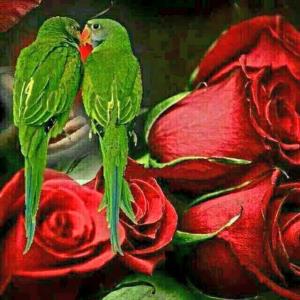 گر تو گرفتارم کنی ، من را گرفتاری خوشم!!!