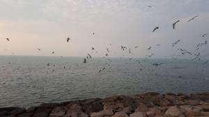 سلام دوستان خبری گلم،عصرتون به زیبایی این دریای بزرگ