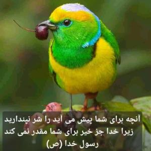 👆👆👆👆👆👆