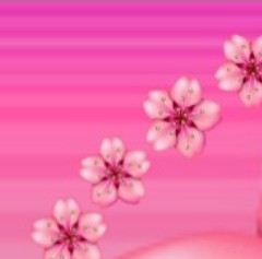 ♔꯭⃮⃝⃮🌸🦋꯭⃝꯭⃮‌𝄠꯭꯭ ♔꯭⃮⃝⃮🌸