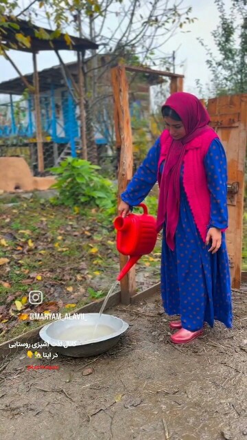 خدایا شکرکه حیات دوباره بهمون دادی