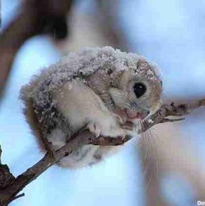 چه قشنگ خابیده 😊😊