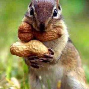 شکمو🤣🤣🤣