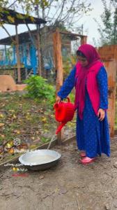 خدایا شکرکه حیات دوباره بهمون دادی