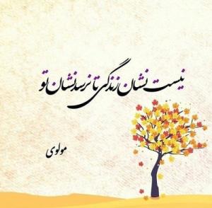 تقدیم ب الهه ناز .