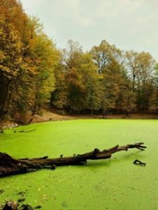 طبیعت.مازندران