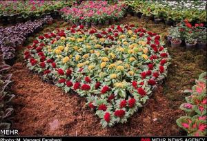 تقدیم به الهه ناز...