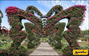 تقدیم به الهه ناز..‌