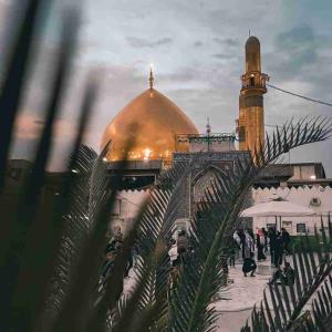 راحت از این پس بخواب نیست دگر پاسبان 🖤 خسته ای از پادگان یا حسن عسکری...