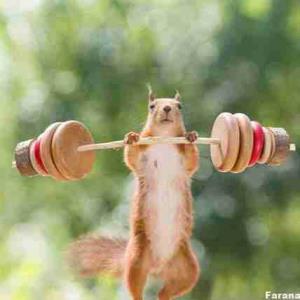 شک ندارم ک مدال طلا میگیره🤣🤣🤣🤣