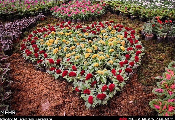 تقدیم به الهه ناز...