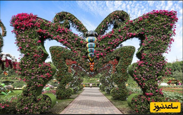 تقدیم به الهه ناز..‌