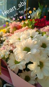 میگن ادم وقتی میخواد بمیره برای ۳۰ ثانیه ....