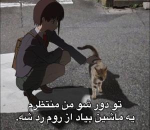 گوربه ی عزیز 💘💘💘 