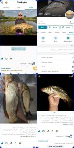 به جای ماهی دادن ، ماهیگیری یاد بده🫴