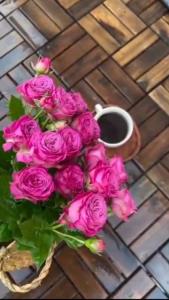 تنور دلتان گرمِ گرم🩵