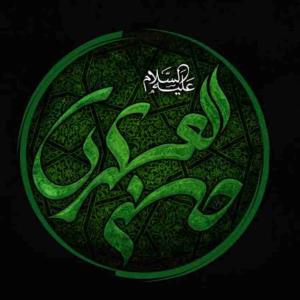 همیشه آب نخوردن دلیل مرثیه نیست تمام ی روضه ی ما گشته شرح آب خوردن تو 💔