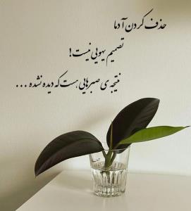 حذف کردن ...💔