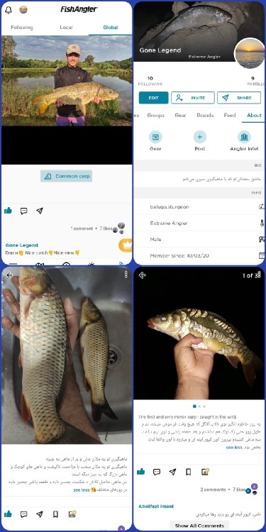 به جای ماهی دادن ، ماهیگیری یاد بده🫴