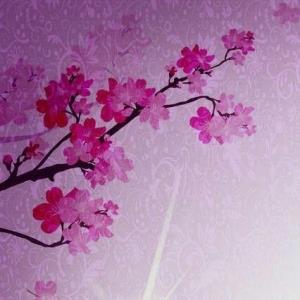 9️⃣  برای فاطمه (علیهالسّلام) نزد خدای متعال ۹ اسم است 👇👇1