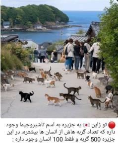 بهشتمو پیداکردم😍😍😁😁