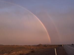 🌹❤️🌸❤️