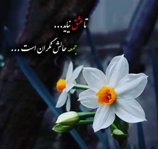 شعر