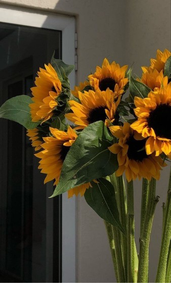 از نشونه‌های احساسِ امنیت در حضور یک‌نفر، پرحرف شدنه.