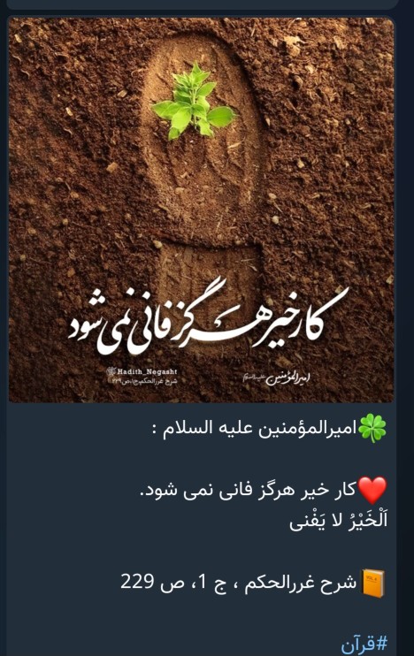 حدیثی عز حضرت علی علیه السلام 💚 