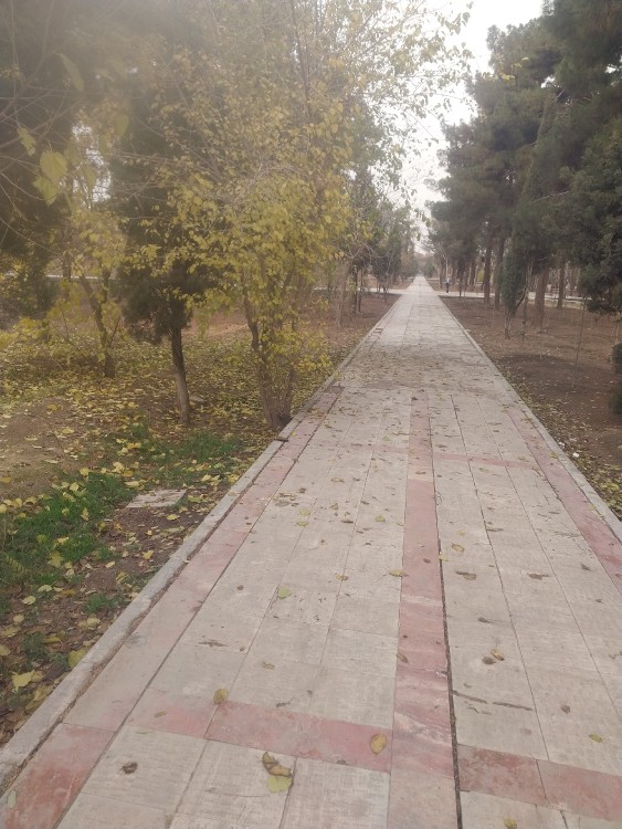 هوای تهران ابری.  اومدم ورزش.  