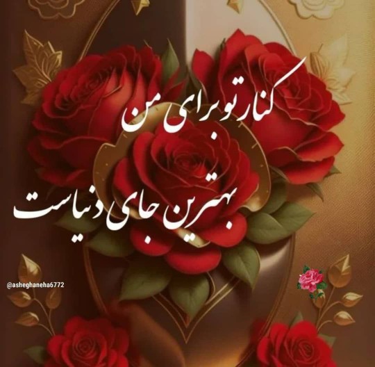 ❤️‍🔥❤️‍🔥